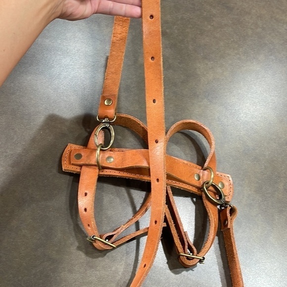 Abra Pampa Dog Leash - Picture 3 of 6